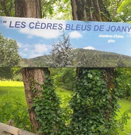 Cedres Bleus De Joany Chez Nathalie Viviez Exterior photo