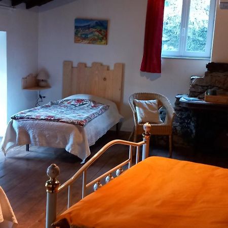 Cedres Bleus De Joany Chez Nathalie Viviez Exterior photo
