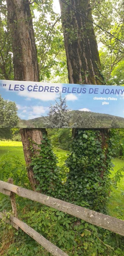 Cedres Bleus De Joany Chez Nathalie Viviez Exterior photo