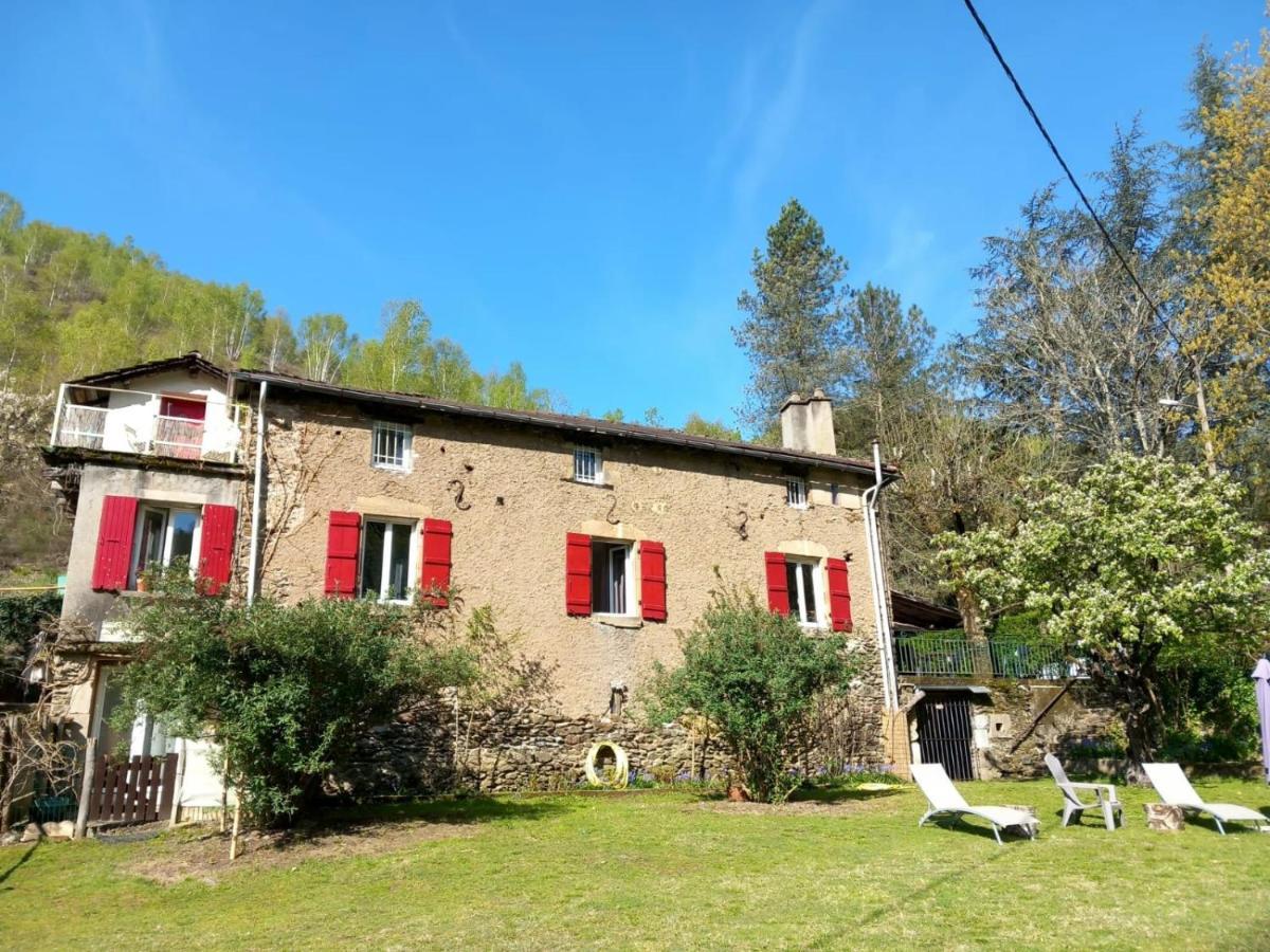Cedres Bleus De Joany Chez Nathalie Viviez Exterior photo