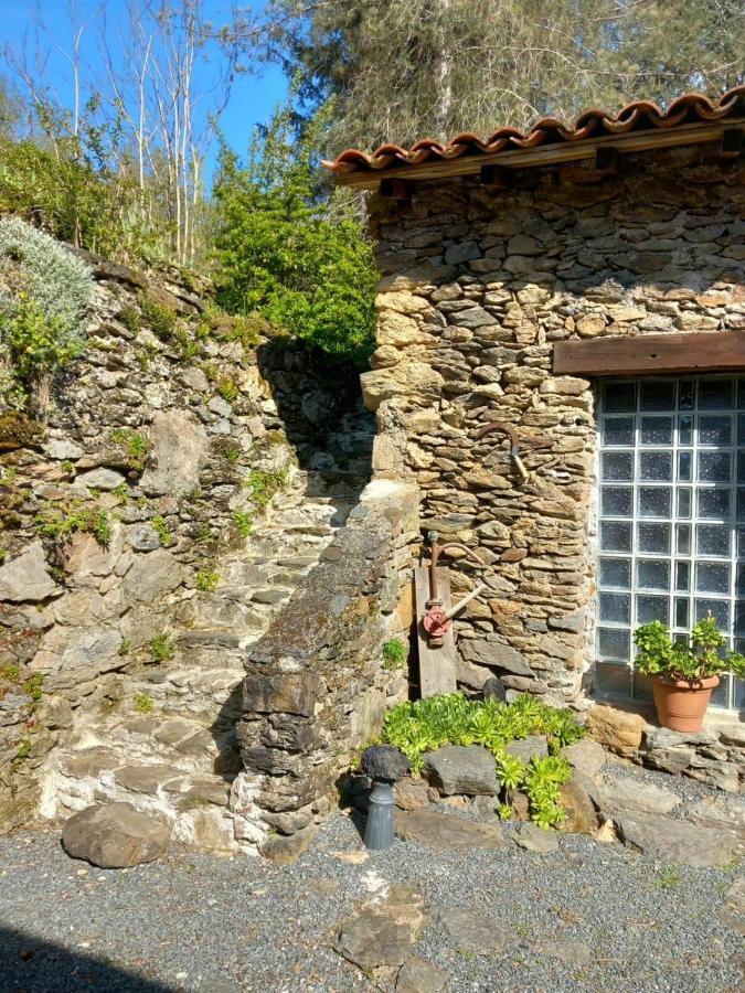Cedres Bleus De Joany Chez Nathalie Viviez Exterior photo